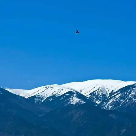 Nefeli Apartahotel 3*