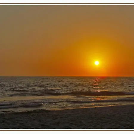 Nefeli ليبتوكاريا