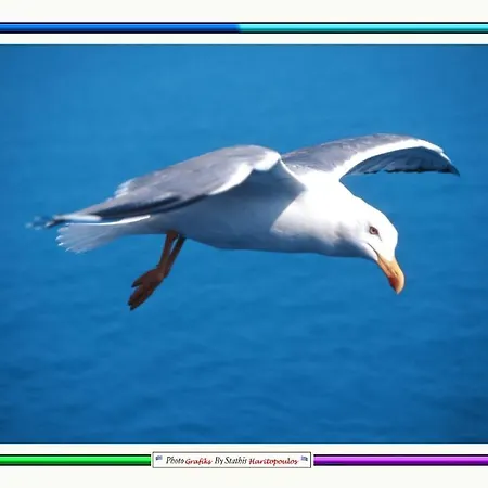 Nefeli شقة فندقية ليبتوكاريا